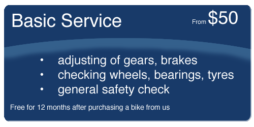 basic service